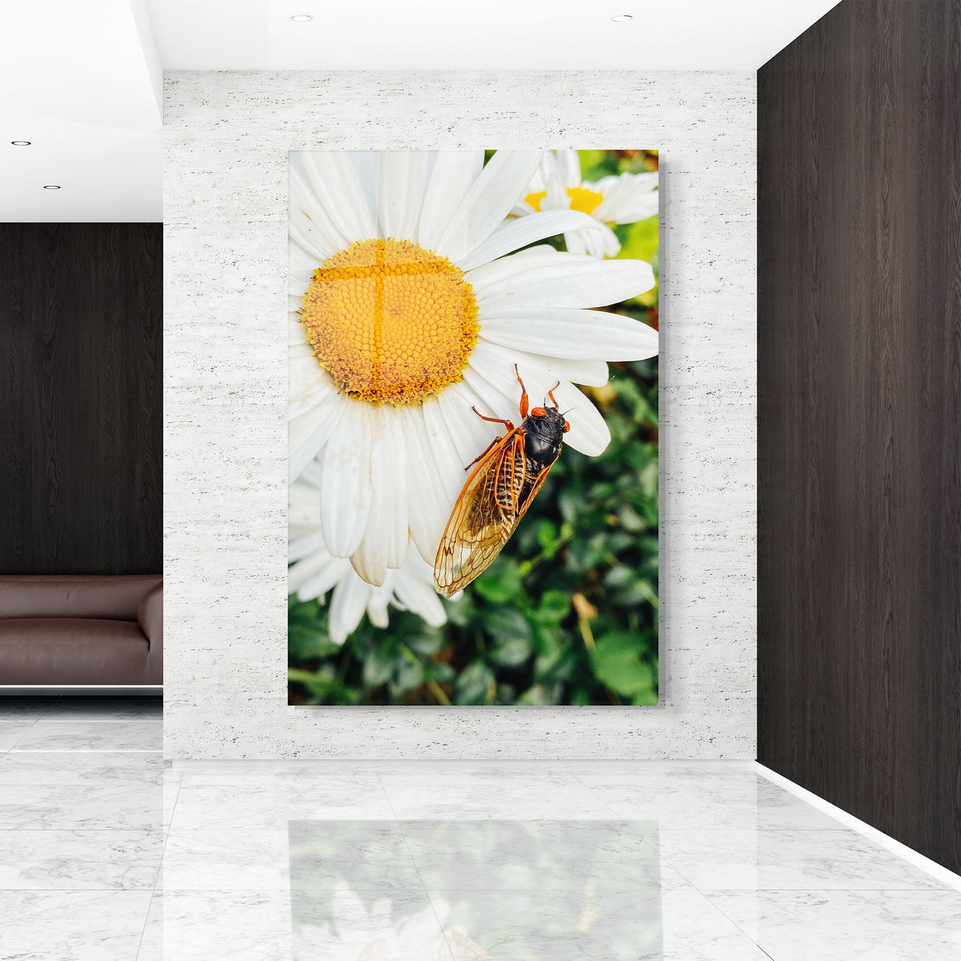 Obraz na Szkle Bug On The Daisy mockup 9