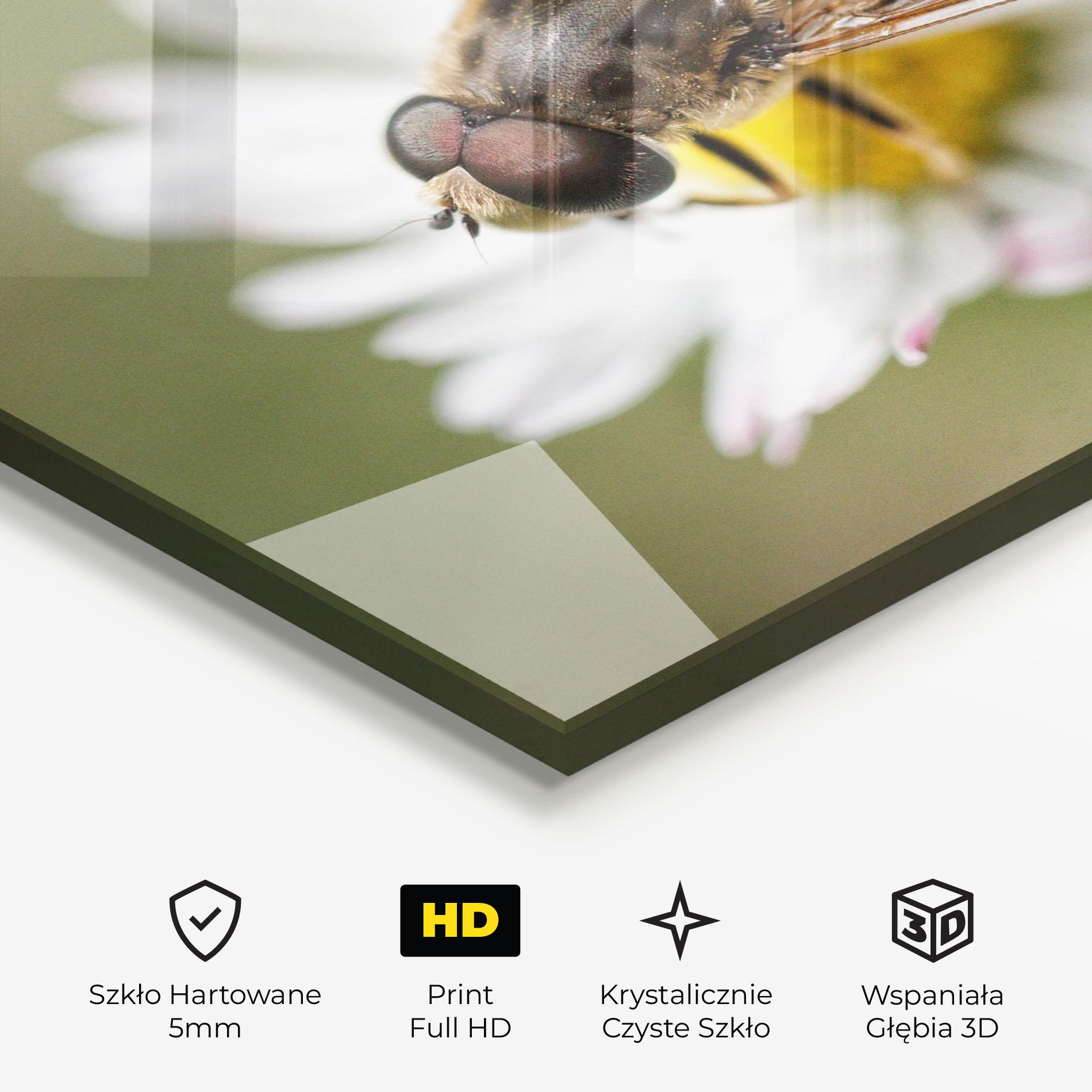 Obraz na Szkle Bee On Small Daisy mockup 3