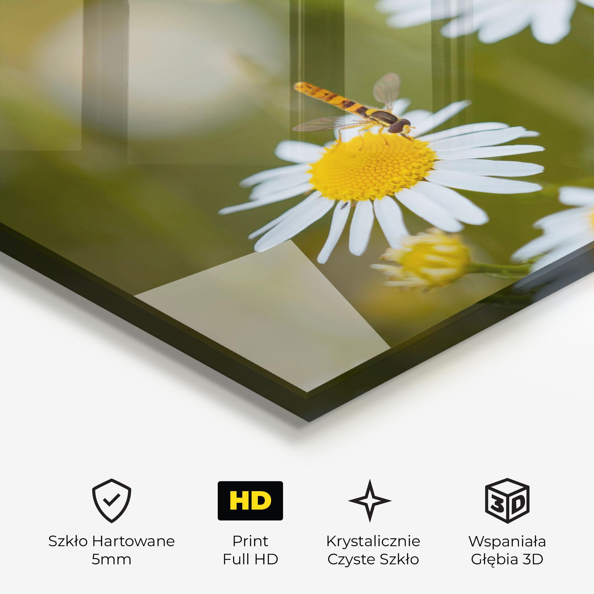 Obraz na Szkle Bug On Small Daisy mockup 3