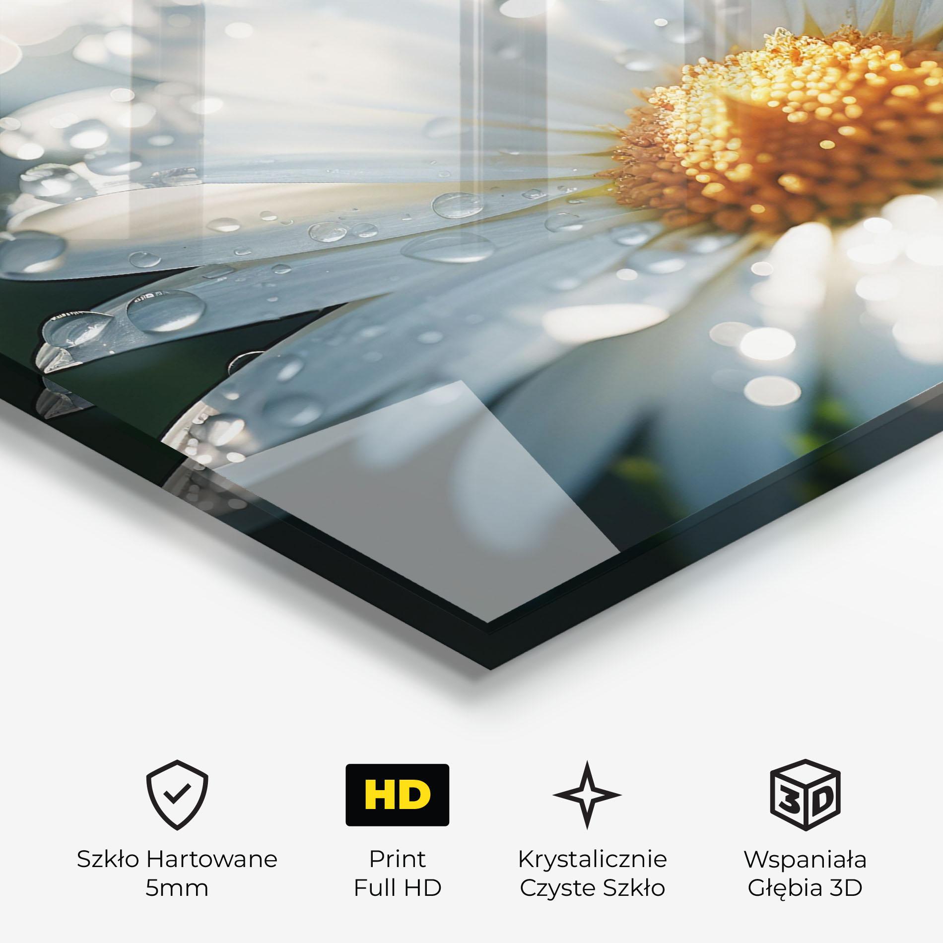 Obraz na Szkle Daisy After Rain Close Up mockup 3