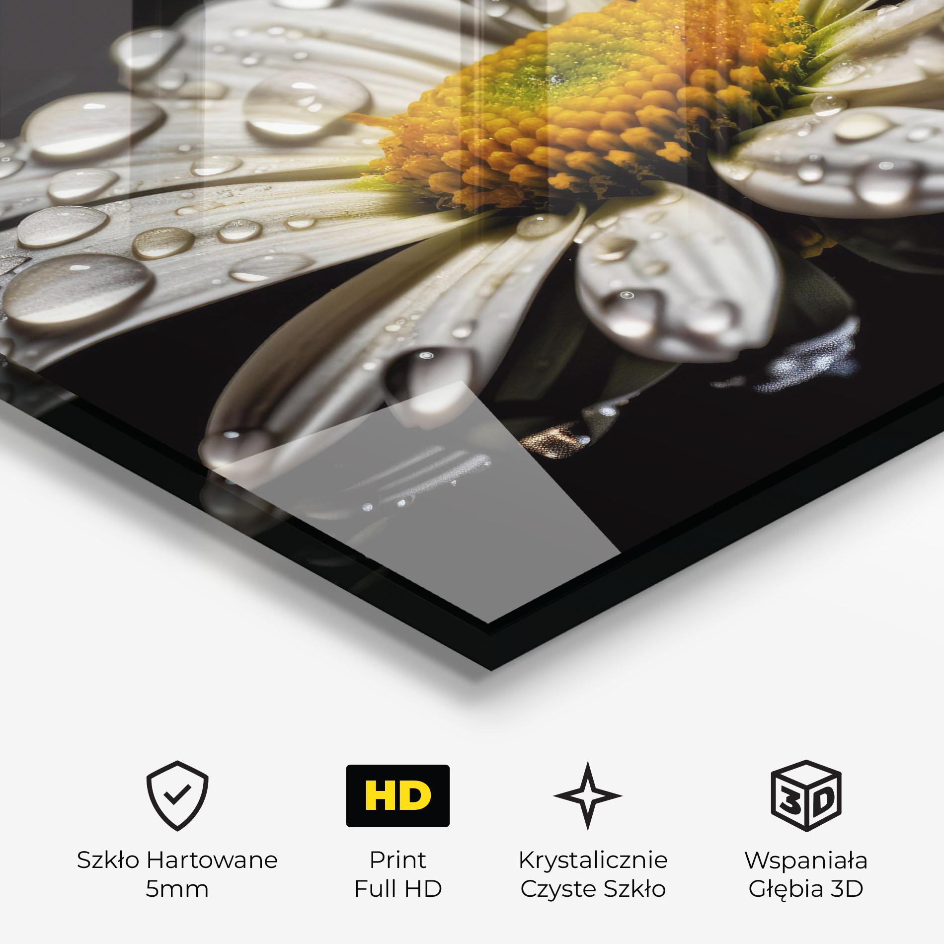 Obraz na Szkle Daisy After The Rain mockup 3