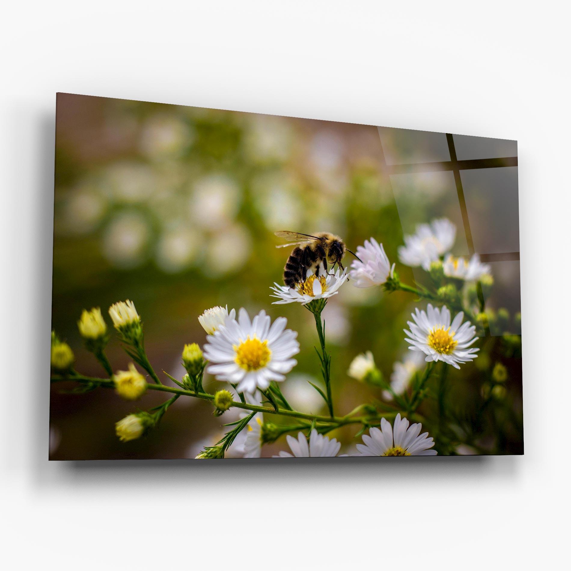 Obraz na Szkle Bee On Small Flower mockup 6