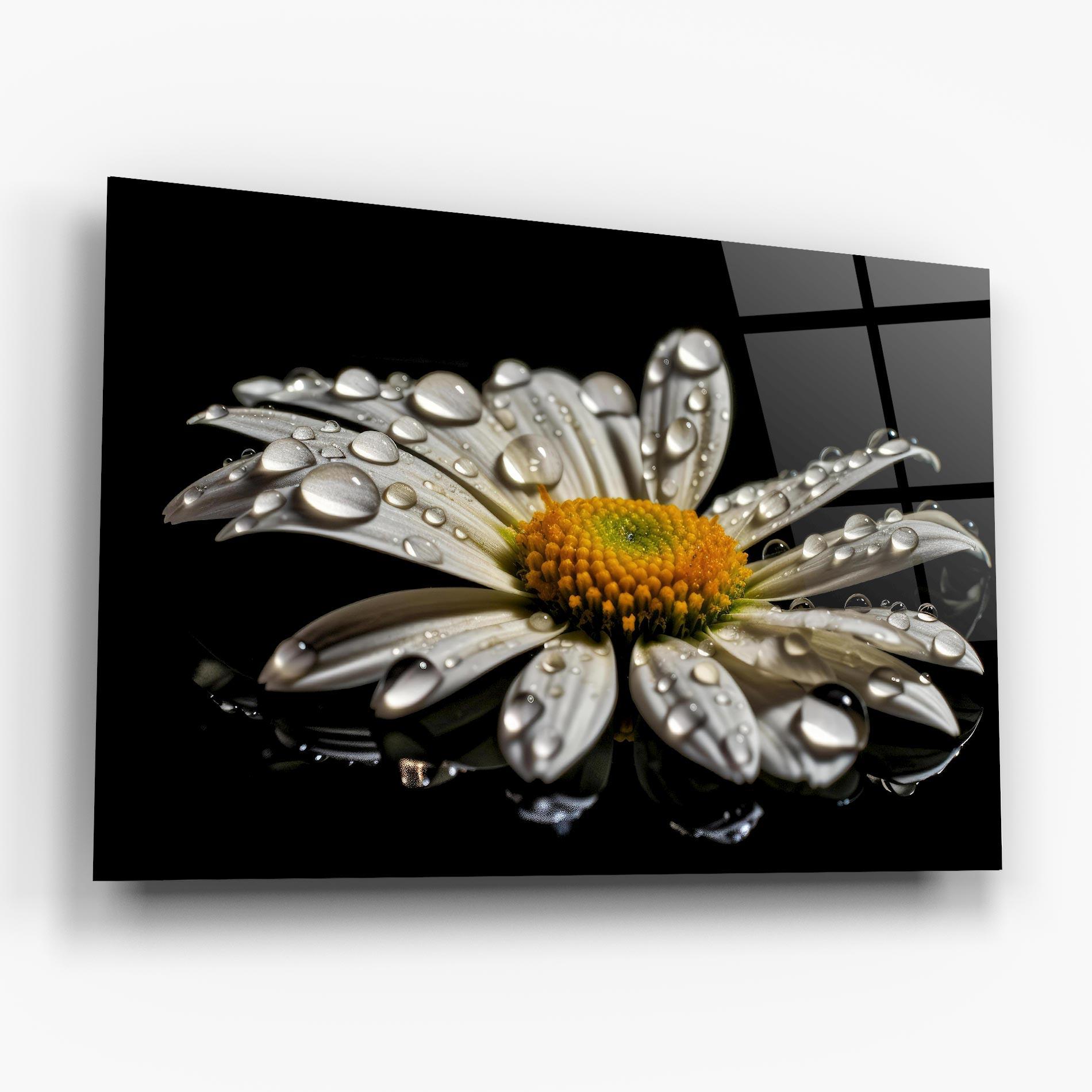 Obraz na Szkle Daisy After The Rain mockup 6