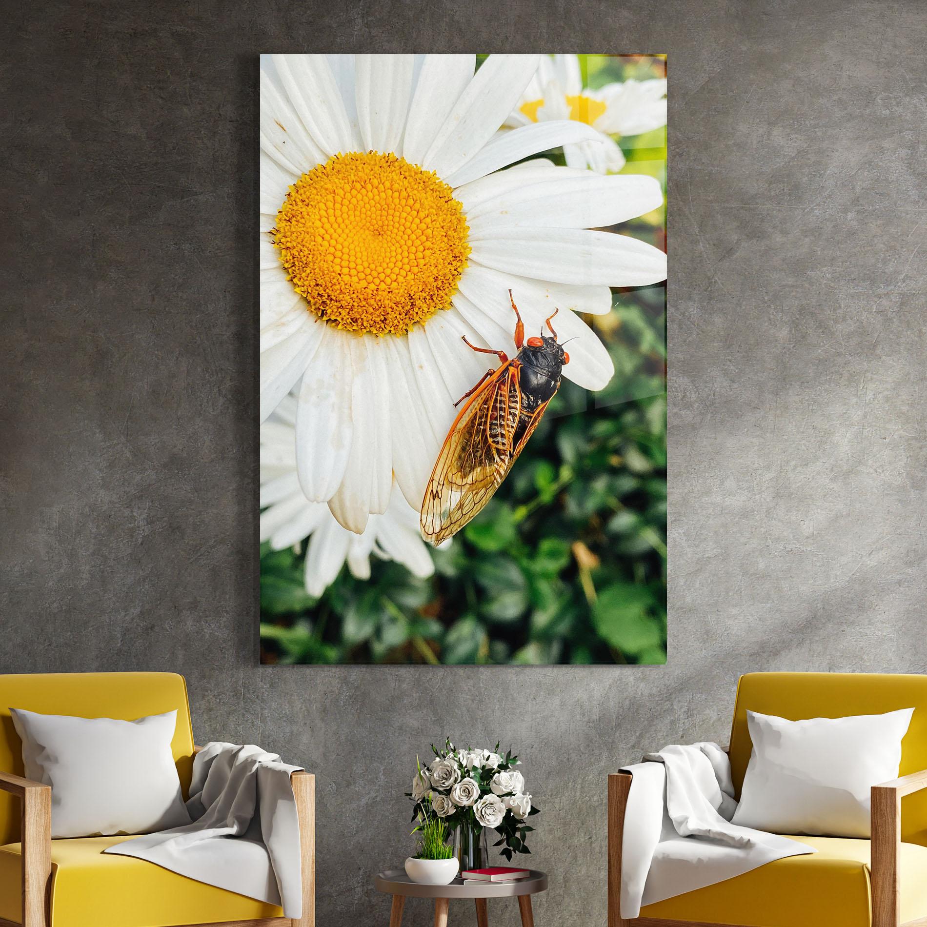 Obraz na Szkle Bug On The Daisy mockup 4