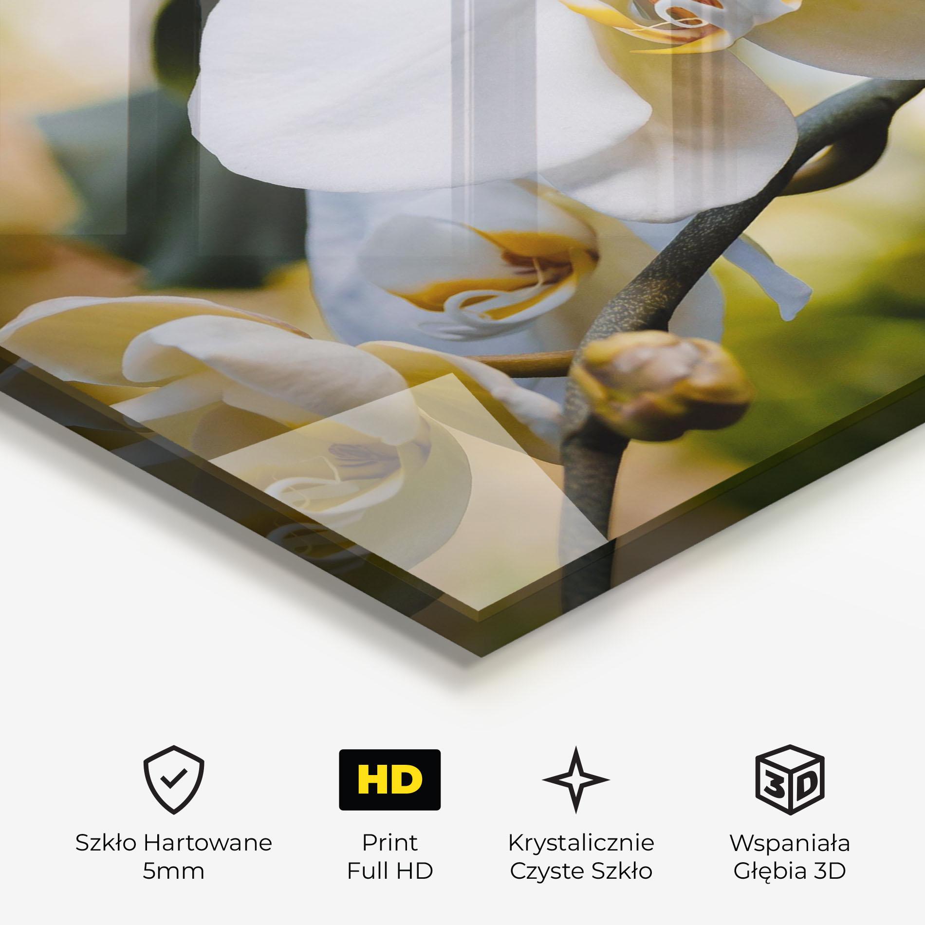 Obraz na Szkle Cream Orchid In Nature mockup 3