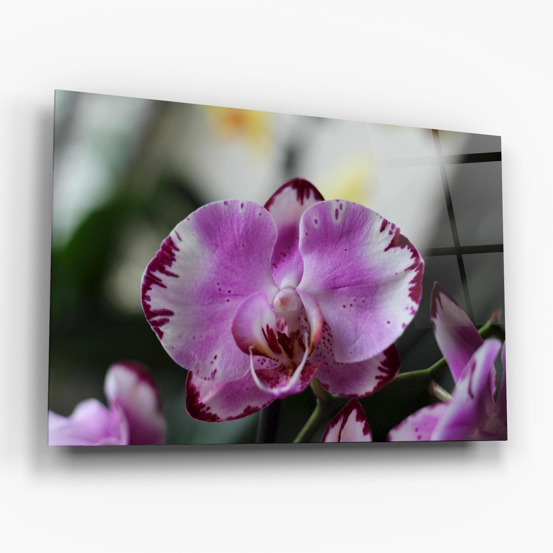 Obraz na Szkle Dark Purple Orchids In Nature mockup 6