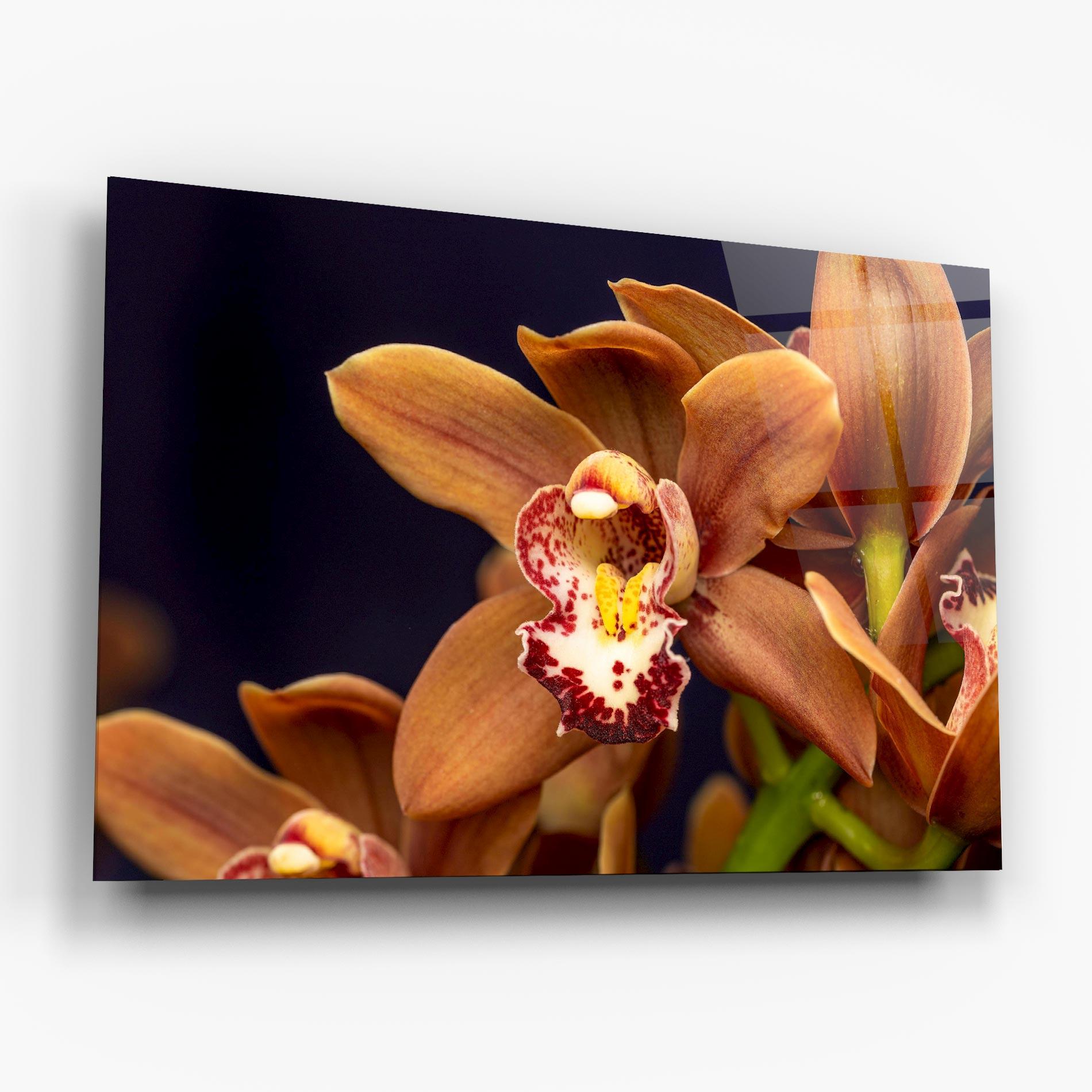 Obraz na Szkle Dirty Orange Orchid mockup 6