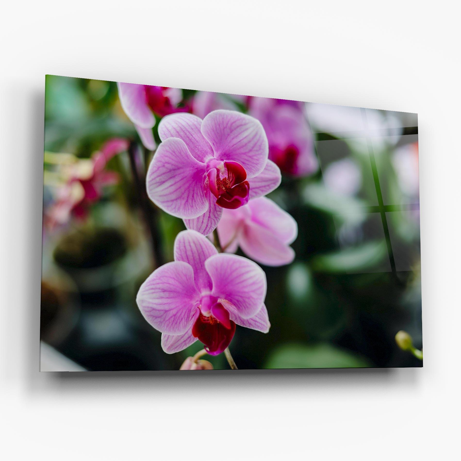 Obraz na Szkle Garden Purple Orchids mockup 6