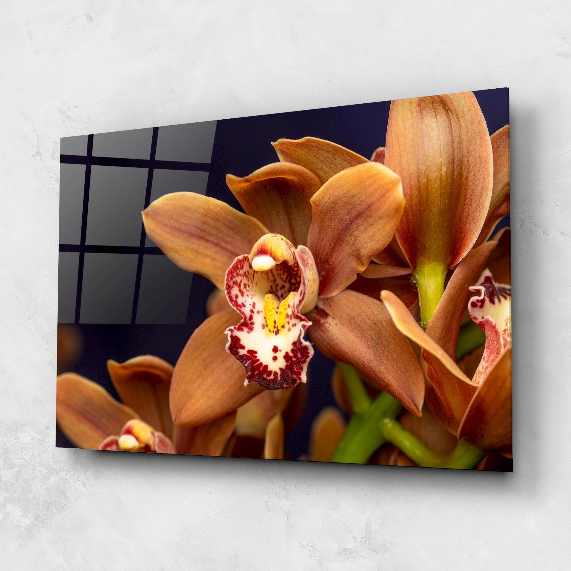 Obraz na Szkle Dirty Orange Orchid mockup 1