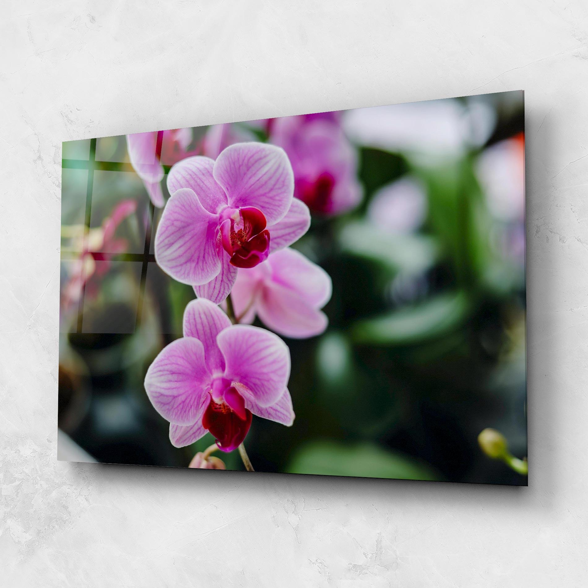 Obraz na Szkle Garden Purple Orchids mockup 1