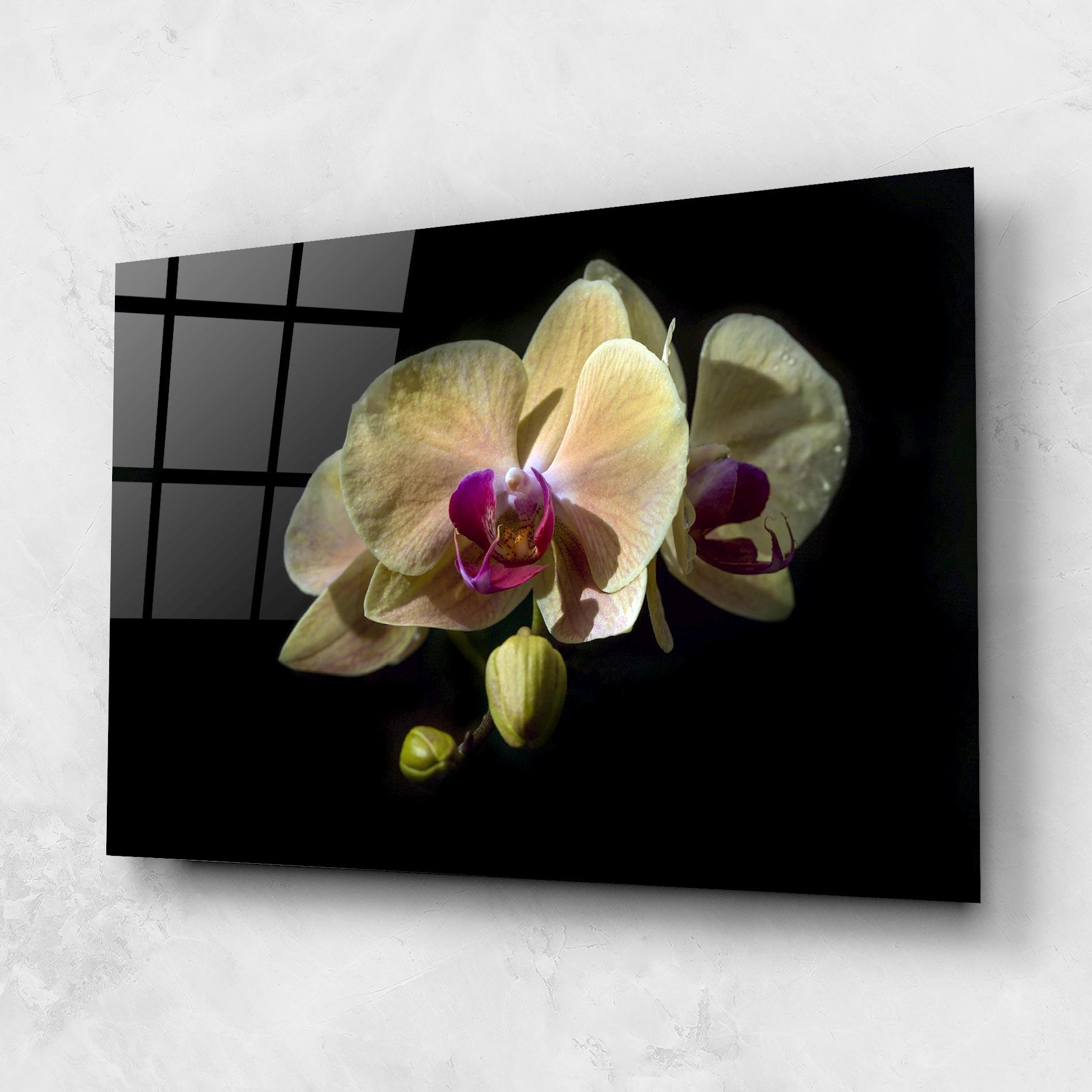 Obraz na Szkle Pastel Yellow Orchids mockup 1