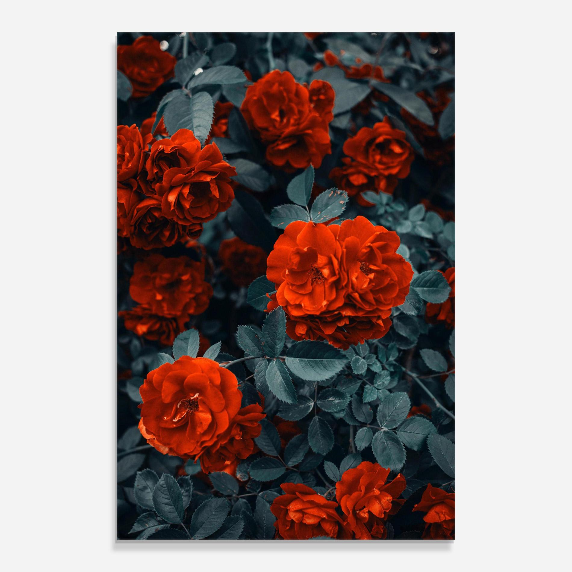 Obraz na Szkle Bright Red Rose mockup 0