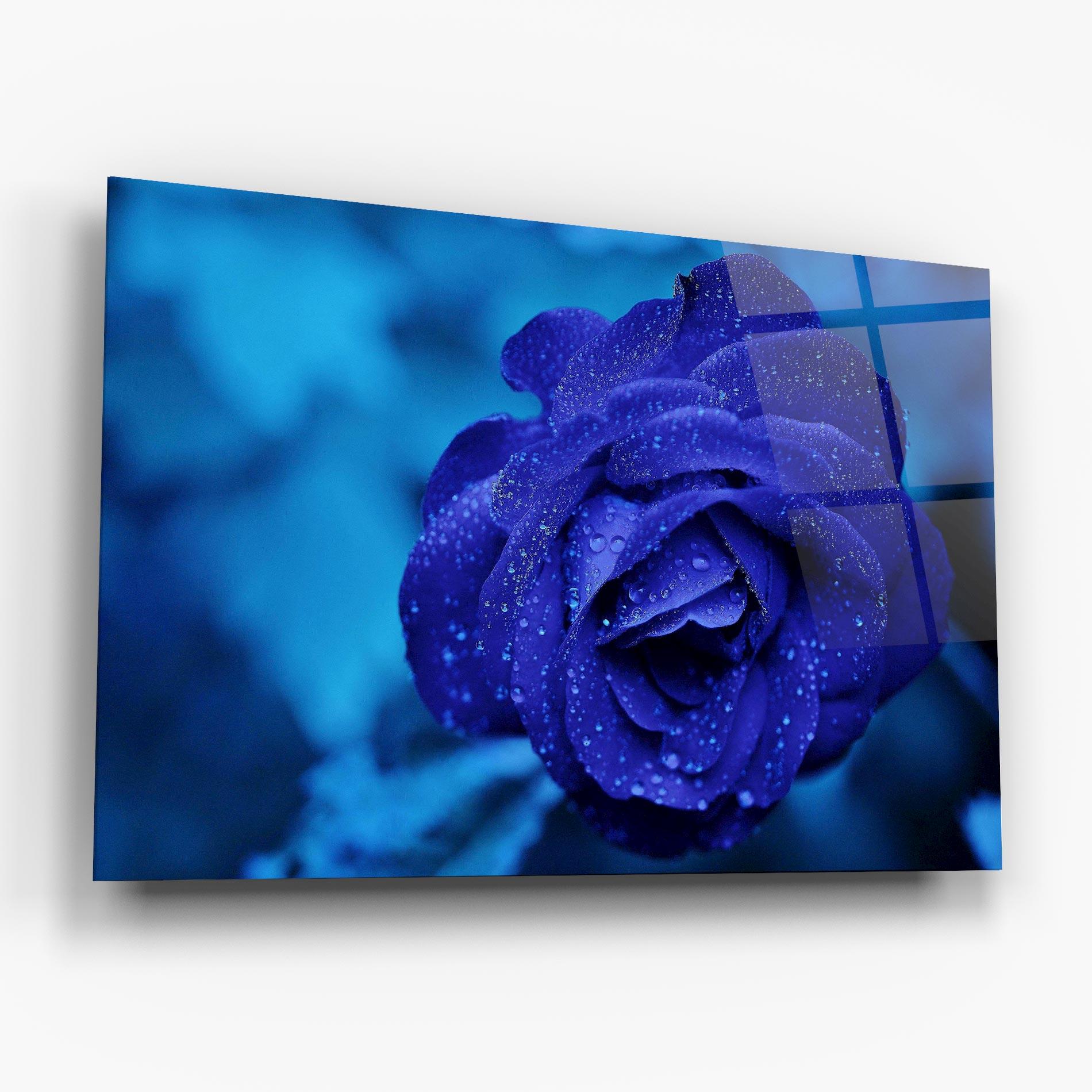 Obraz na Szkle Blue Water Rose mockup 6