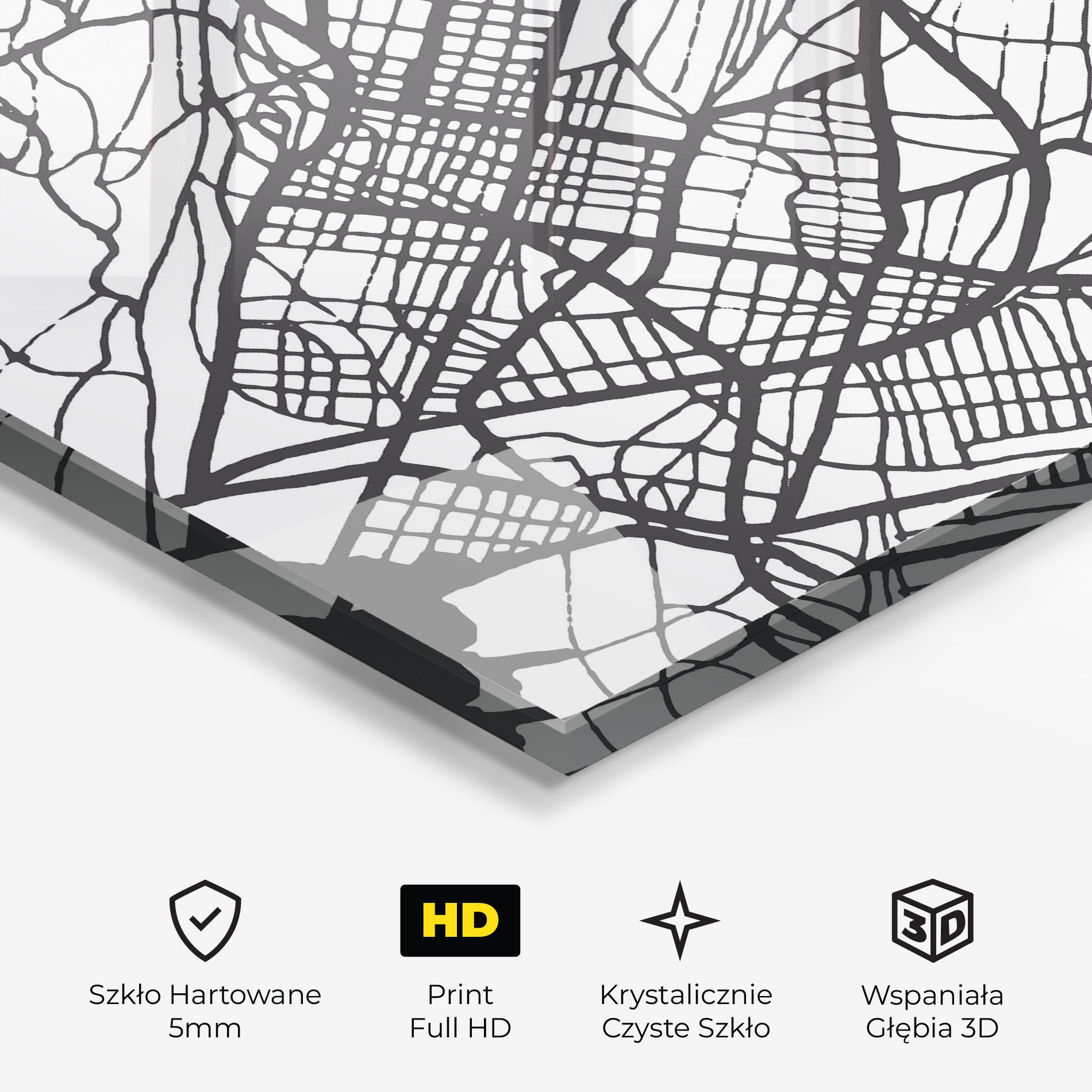Obraz na Szkle Biel Map mockup 3