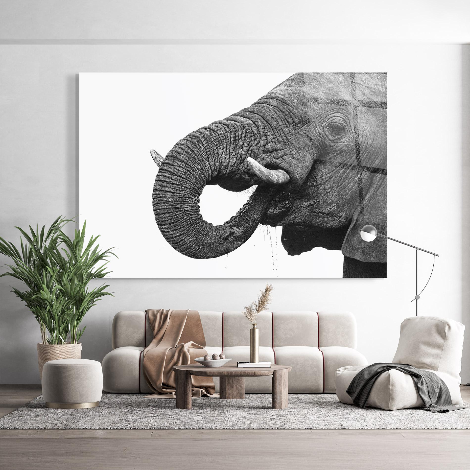 Obraz na Szkle Elephant Drinking mockup 9