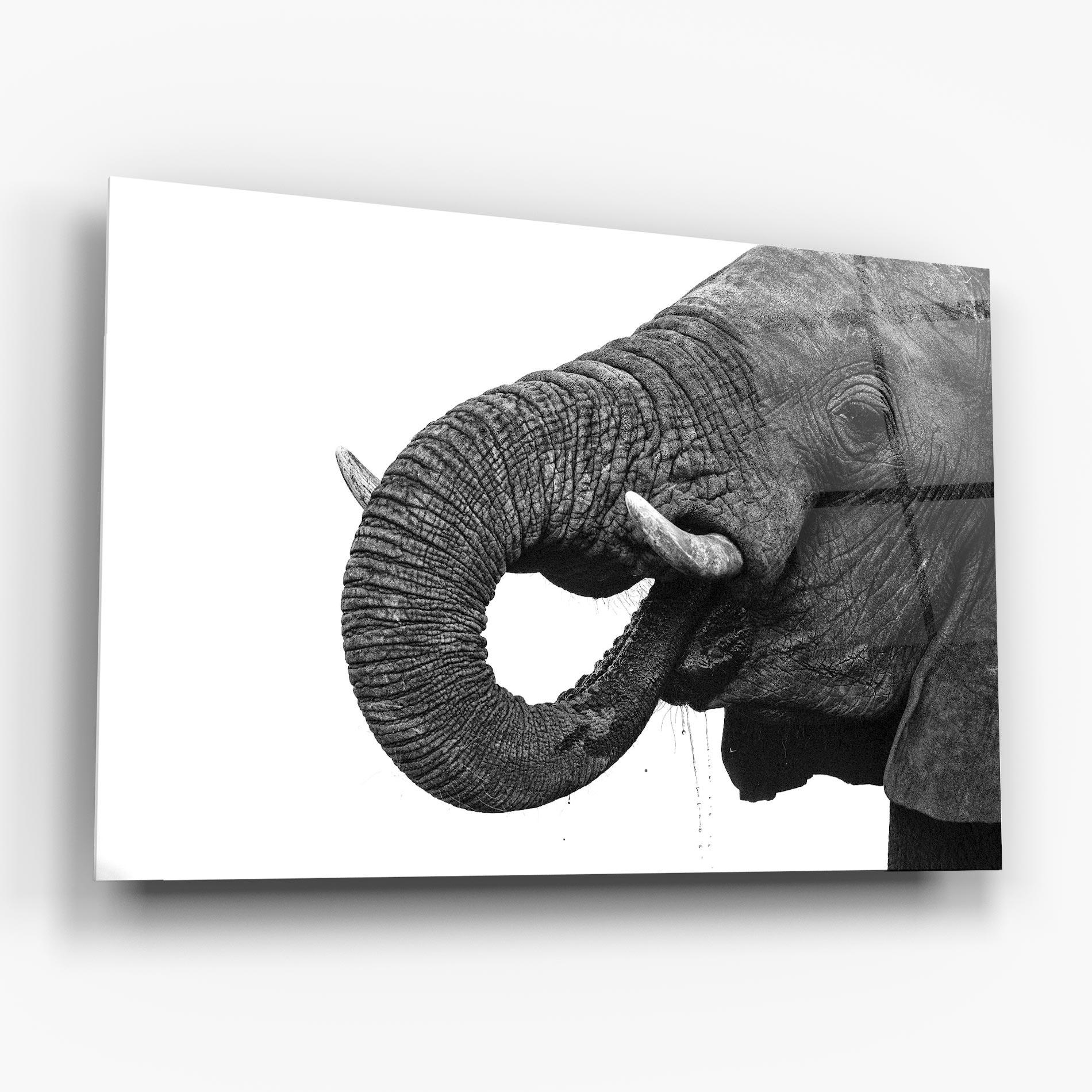 Obraz na Szkle Elephant Drinking mockup 6