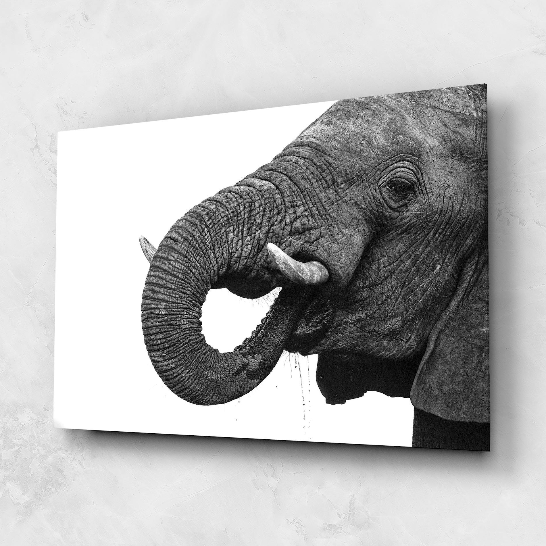 Obraz na Szkle Elephant Drinking mockup 1