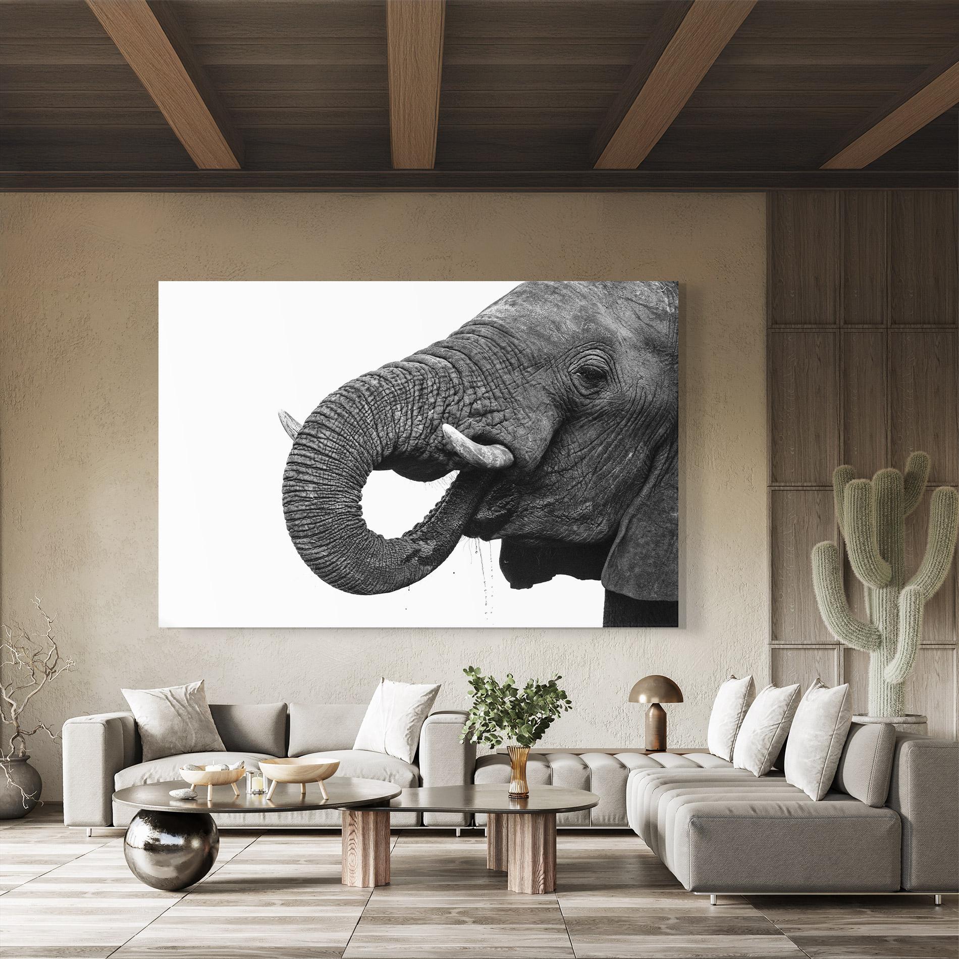 Obraz na Szkle Elephant Drinking mockup 8