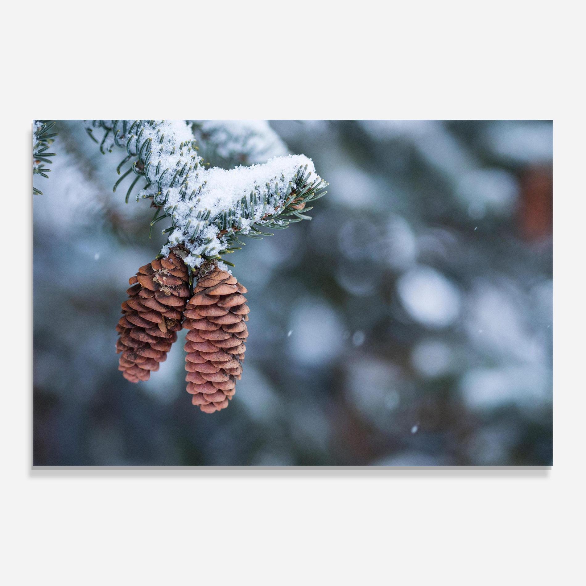 Obraz na Szkle Winter Cones mockup 0