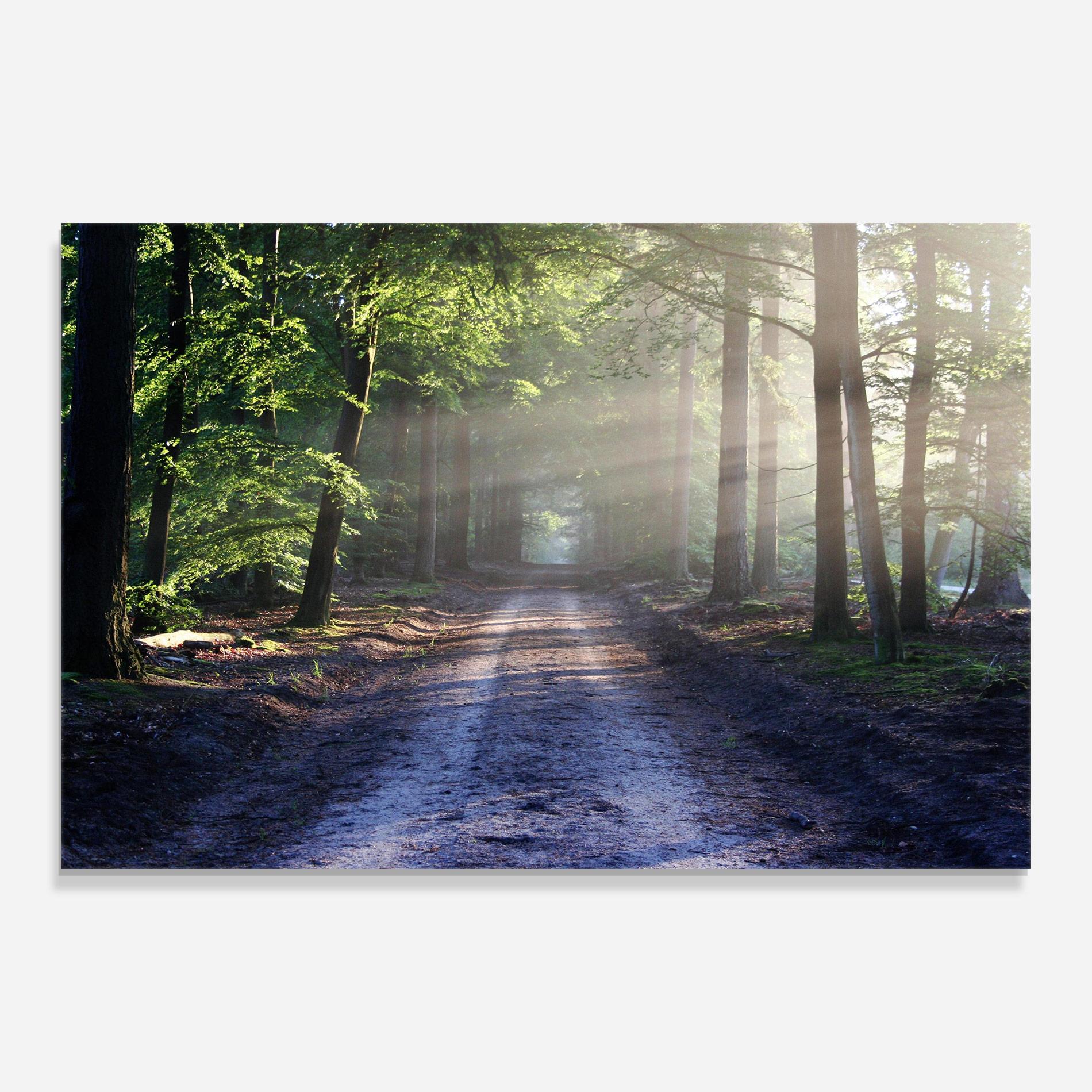 Obraz na Szkle Forest Road mockup 0