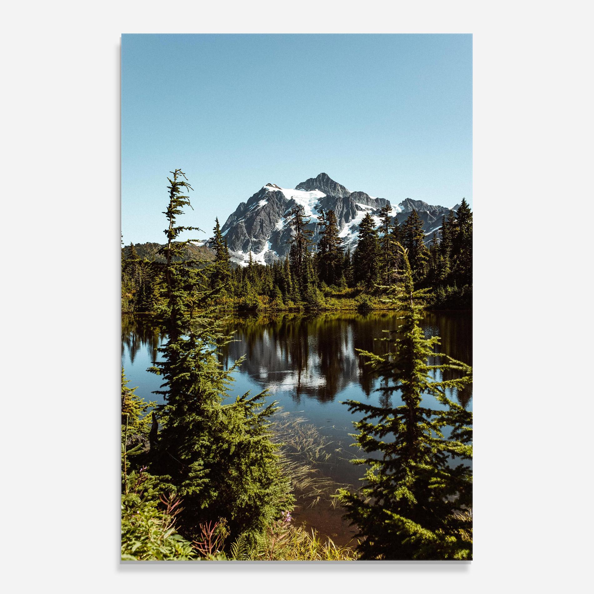 Obraz na Szkle Forest Snow Mountain mockup 0