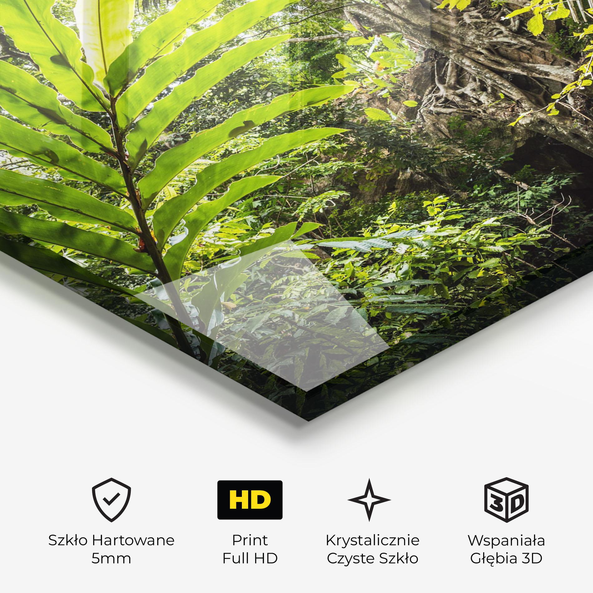 Obraz na Szkle Big Leaf Forest mockup 3