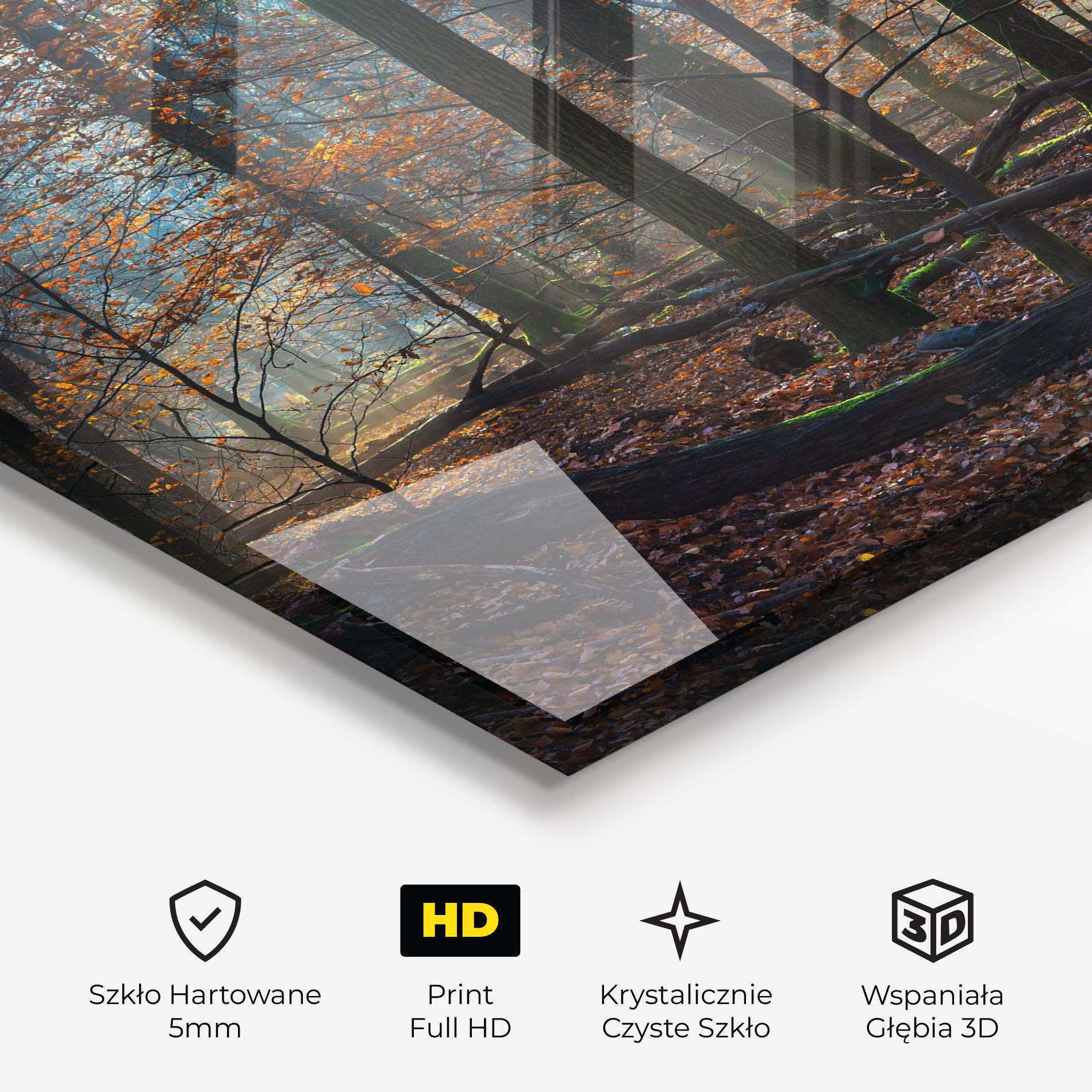 Obraz na Szkle Forest Autumn Day mockup 3