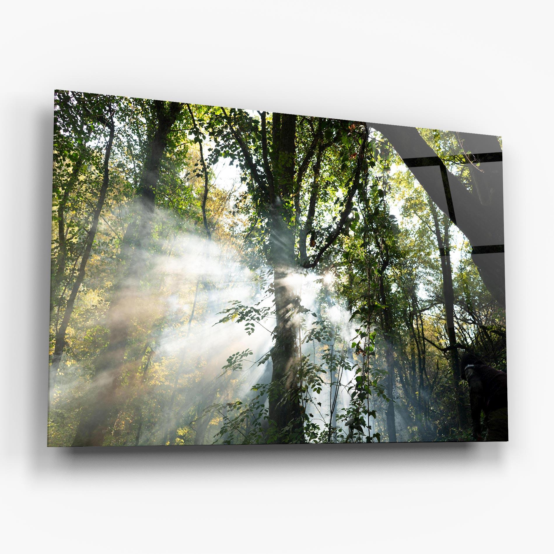 Obraz na Szkle Foggy Light Forest mockup 6