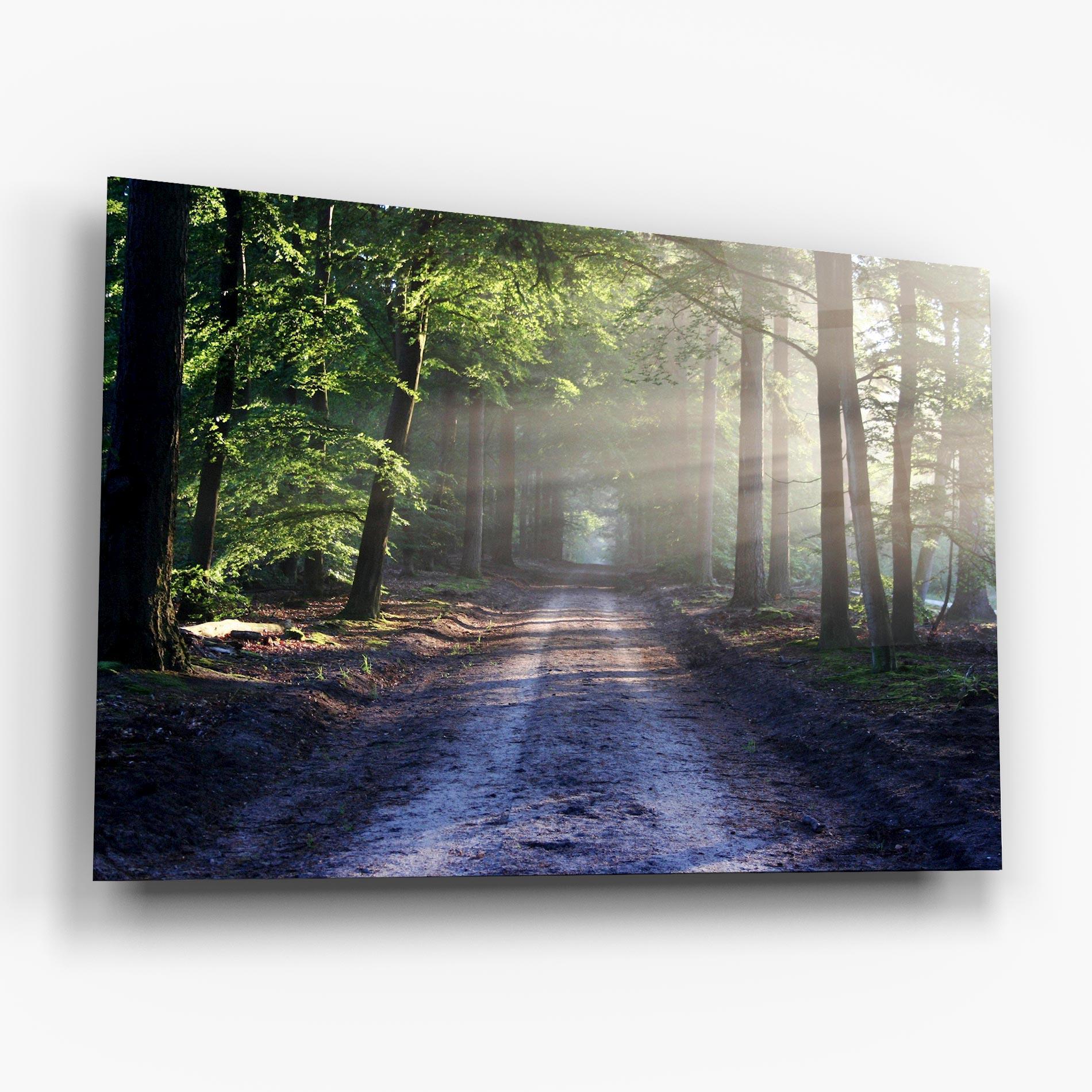 Obraz na Szkle Forest Road mockup 6