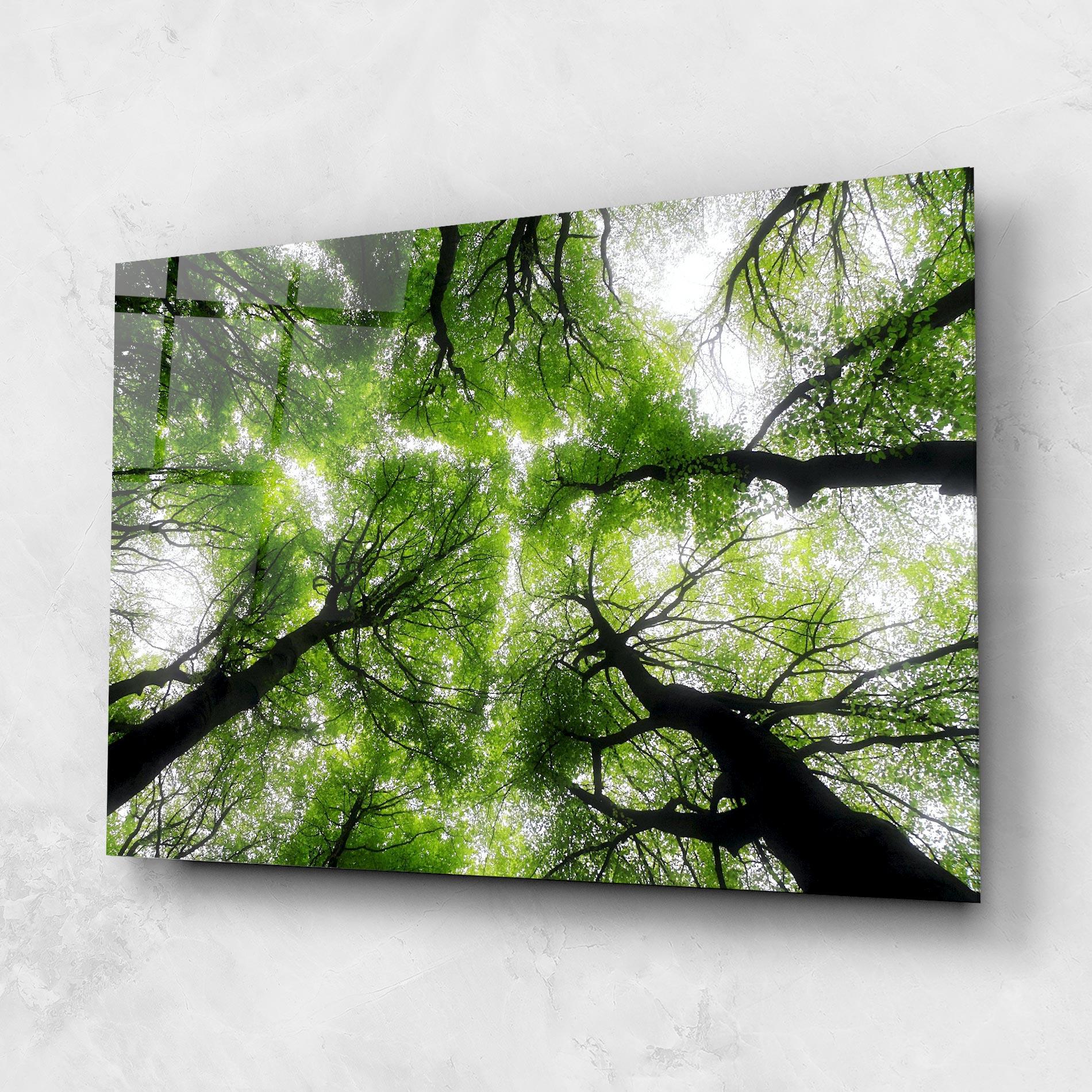 Obraz na Szkle Forest Green Tree mockup 1