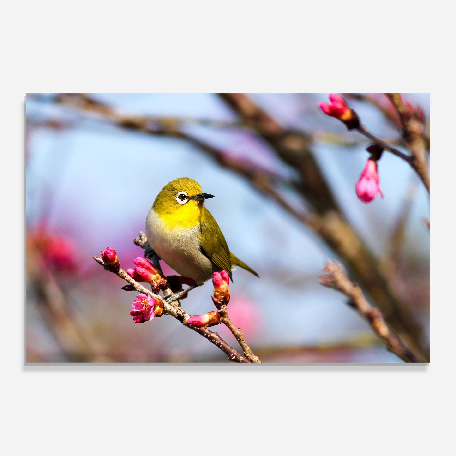 Obraz na Szkle Cute Pink Flower Buds mockup 0