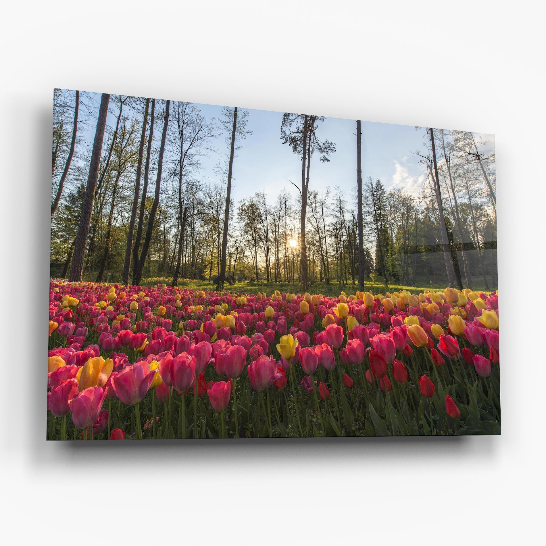 Obraz na Szkle Pretty Spring Flowers mockup 6