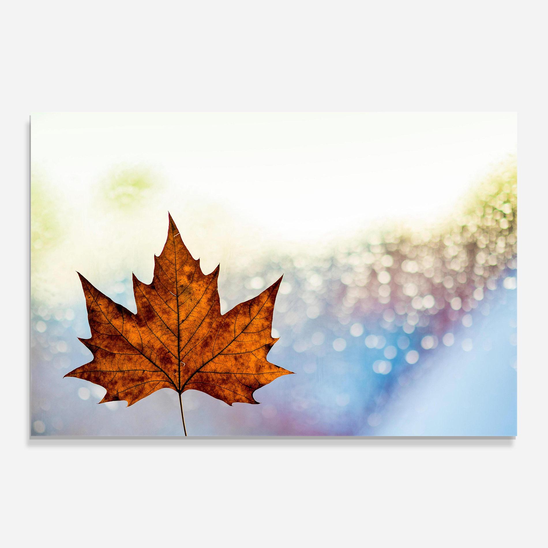 Obraz na Szkle Brown Orange Leaf mockup 0