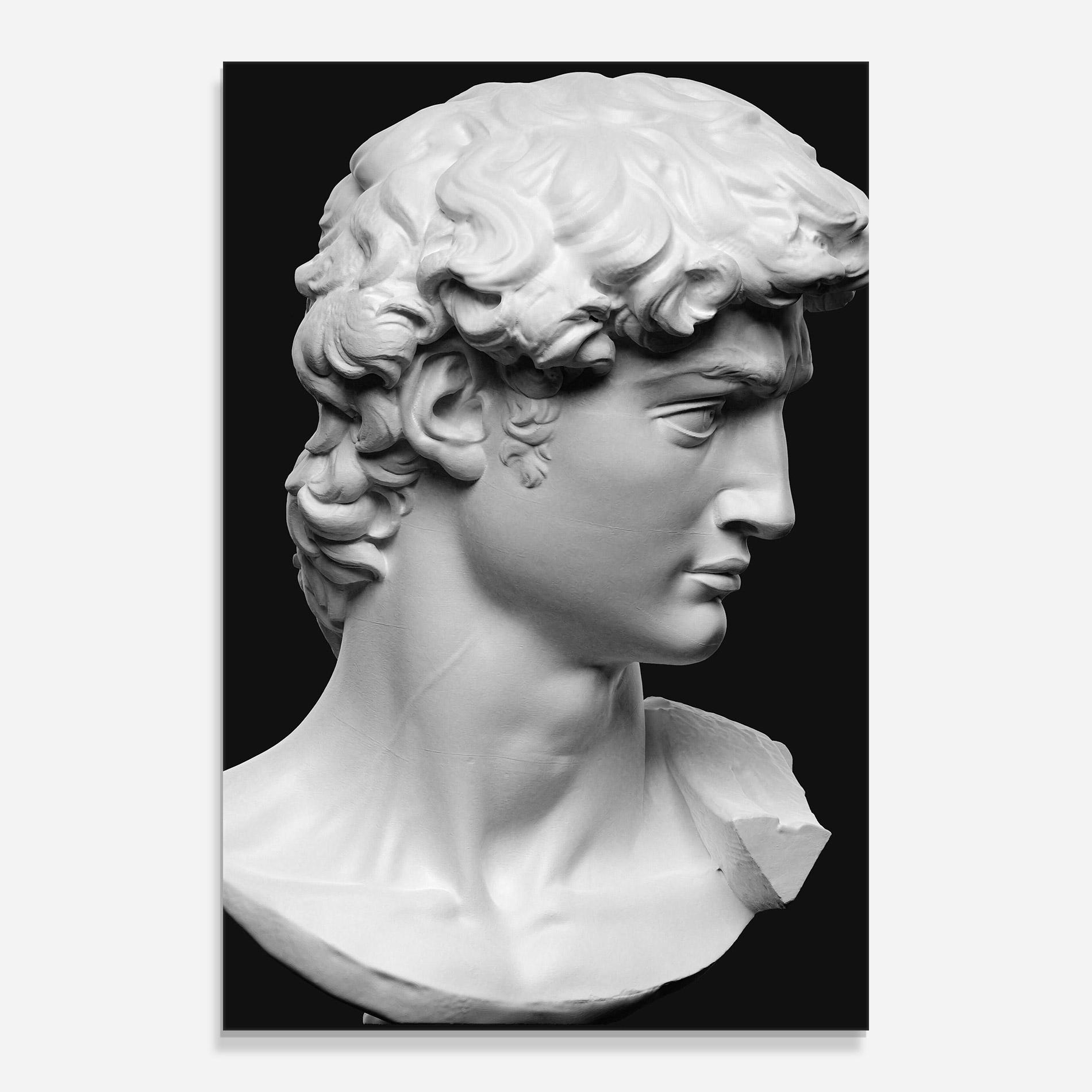 Obraz na Szkle David Head mockup 0