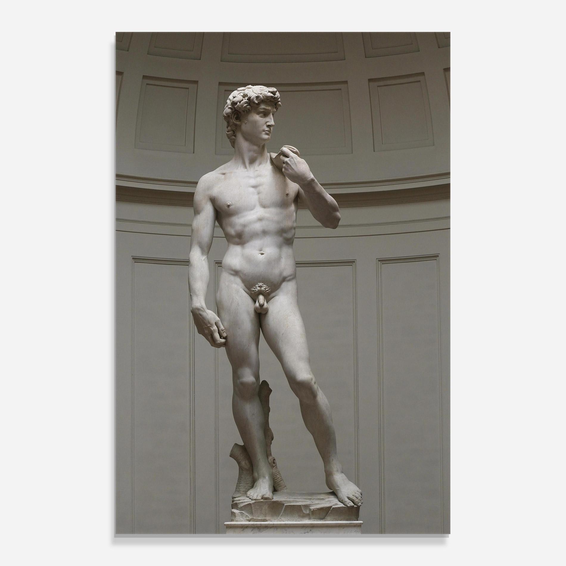 Obraz na Szkle Michelangelo Statue mockup 0