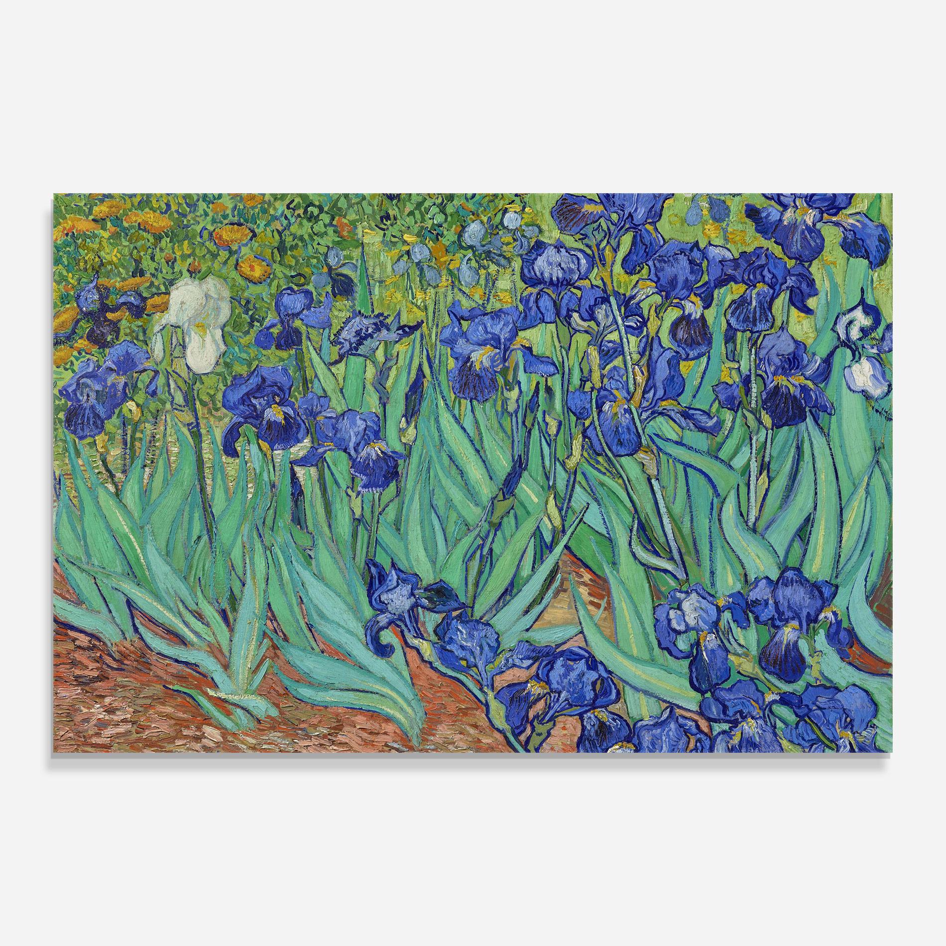 Obraz na Szkle Irises Van Gogh mockup 0